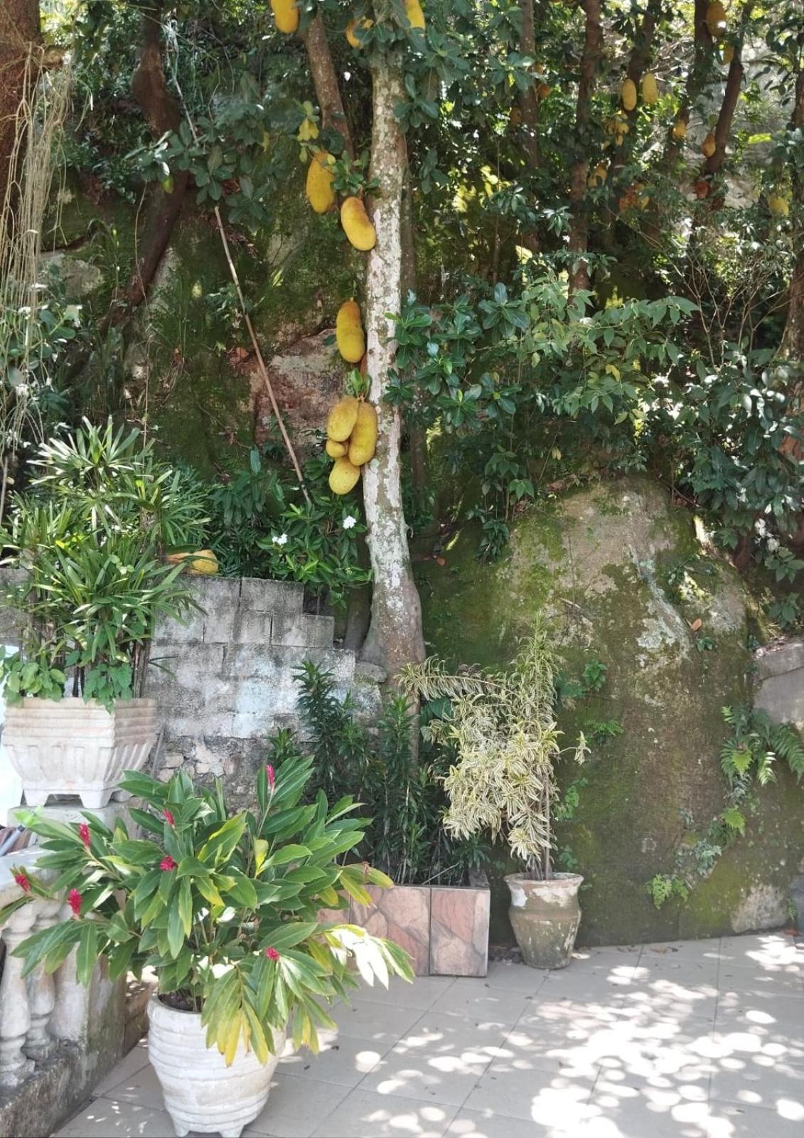 Casa Das Luzes Hostel Ivn Ρίο ντε Τζανέιρο Εξωτερικό φωτογραφία